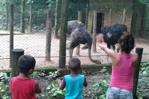 Casa-Abrigo-Jan_2016-I