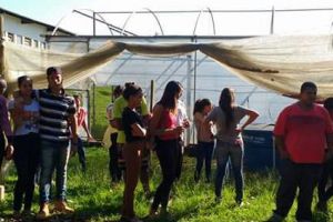 Ações Sociais SCFV Junho 2017